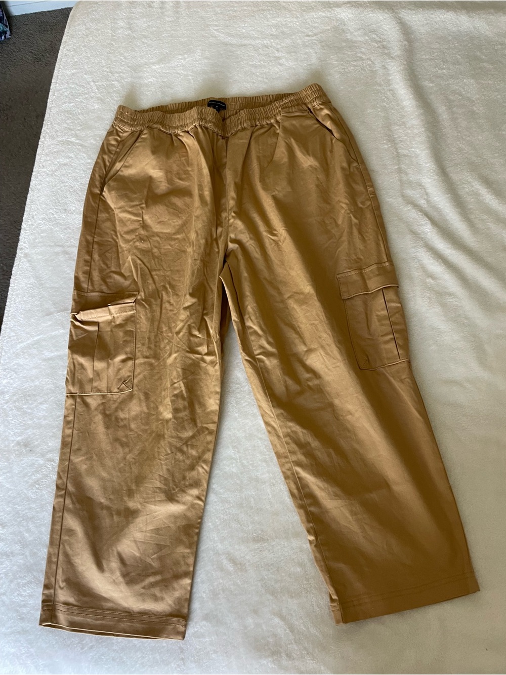 Universal Standard Men's Cargo Pants in Brown